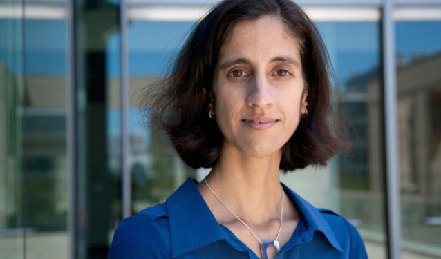 Tejal A. Desai, PhD