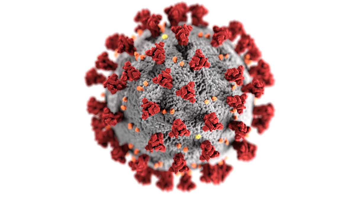A gray virus molecule with red spikes surrounding it 